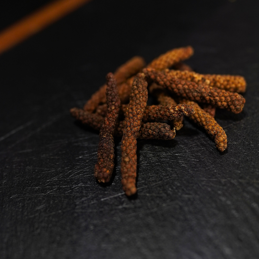 Roter Langpfeffer Nahaufnahme