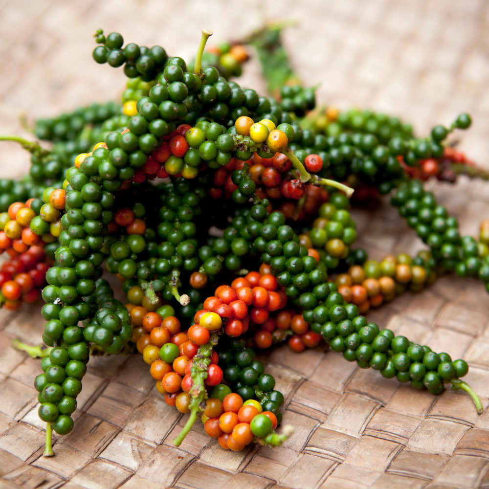 Echter Roter Pfeffer