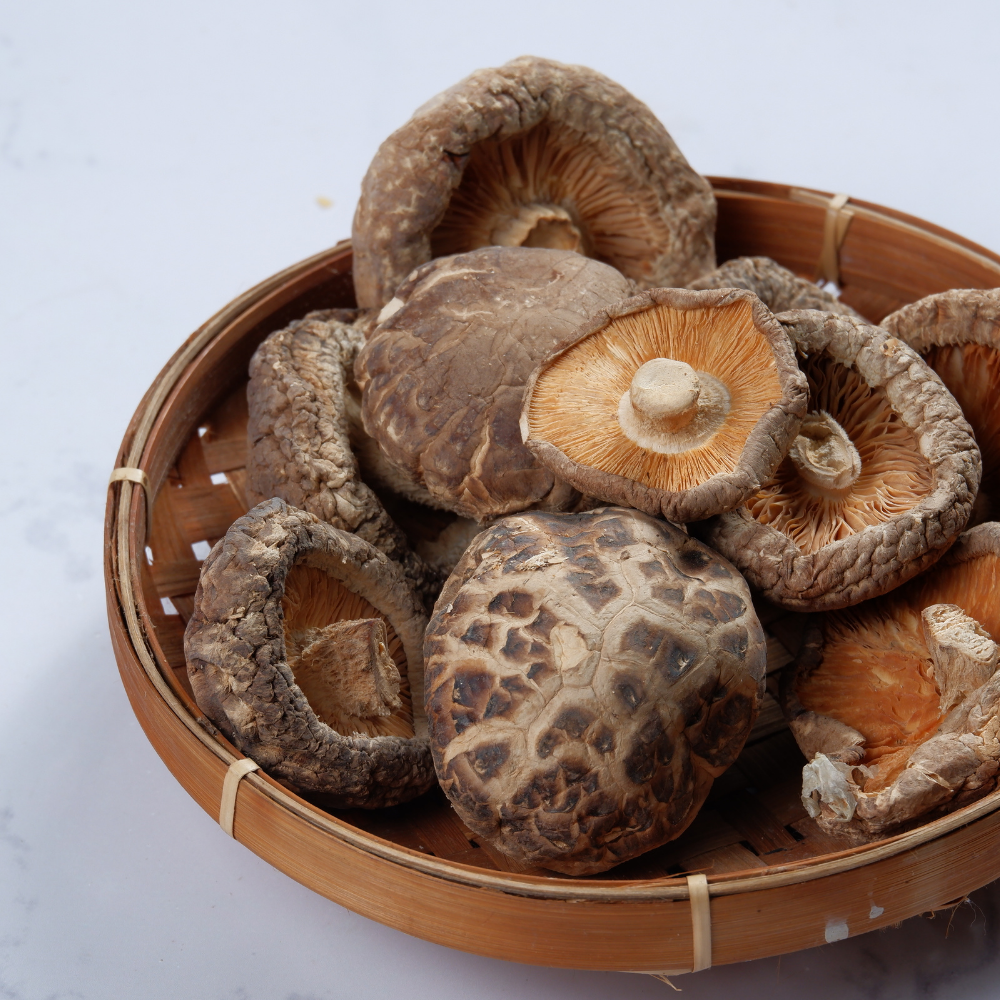 Shitake Pilze