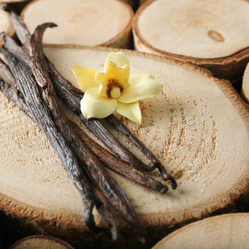 Vanille mit Blüte auf Holz